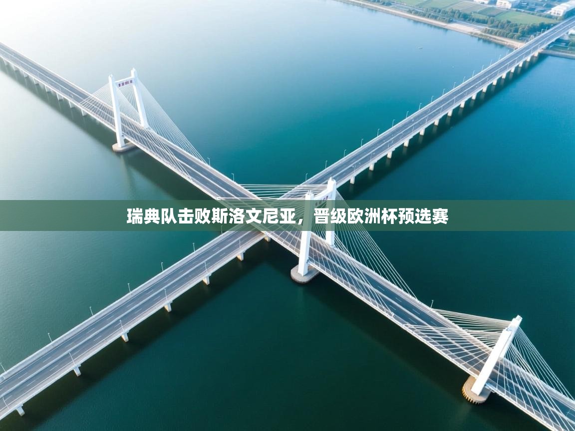 瑞典队击败斯洛文尼亚,晋级欧洲杯预选赛 第2张